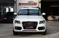 Audi Q5 2.0 TDI quattro S-Line Bi-Xenon MMI Navi DSP Weiß - thumbnail 5