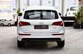 Audi Q5 2.0 TDI quattro S-Line Bi-Xenon MMI Navi DSP Blanc - thumbnail 6