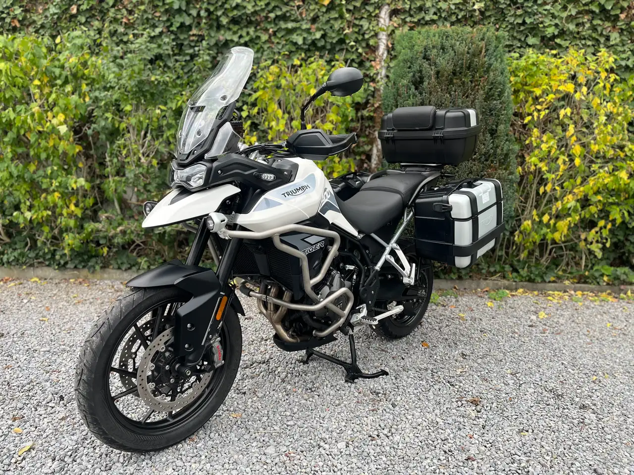 Triumph Tiger 900