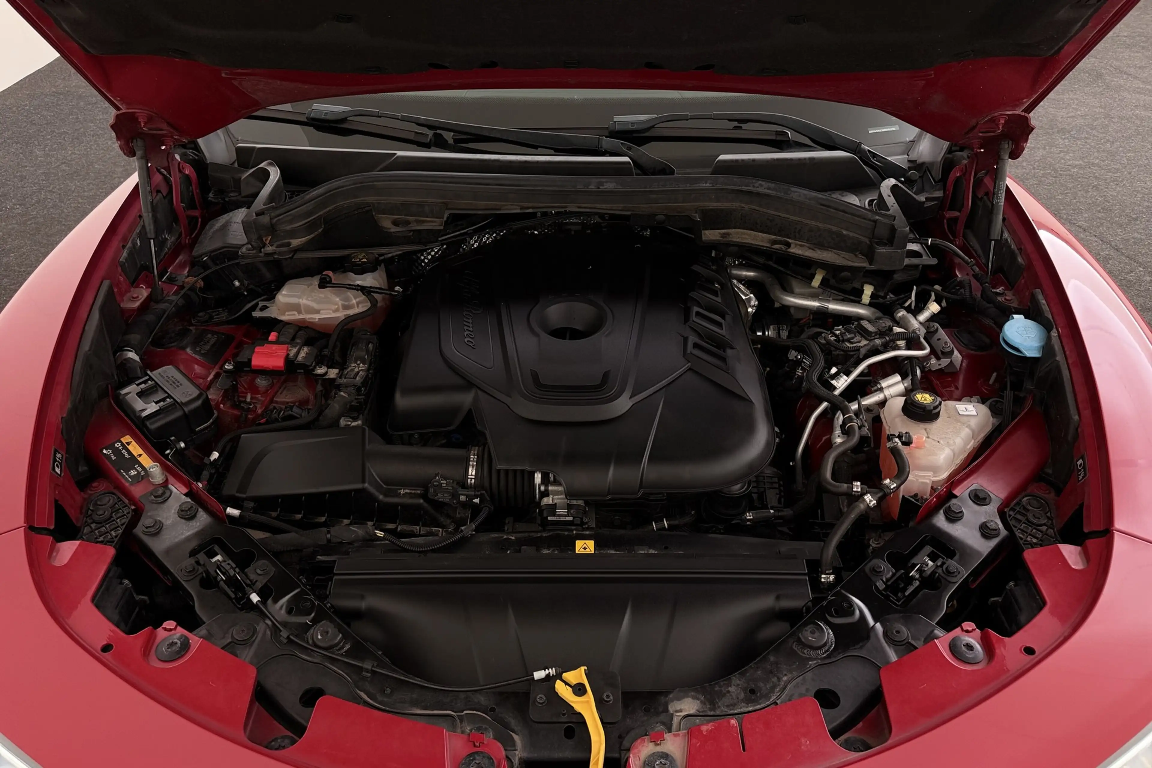 Alfa Romeo Stelvio SUPER 2.2d RWD + A/T + GPS + PDC + CRUISE + ALU 18 — photo 14