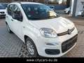 Fiat New Panda 1.2 8V LOUNGE Klimaanlage Weiß - thumbnail 1