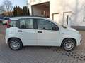 Fiat New Panda 1.2 8V LOUNGE Klimaanlage Blanc - thumbnail 8