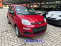 Fiat Panda PROMO FINANZ.PANDINA 1.0  Hybrid  KM  0 Rosso - thumbnail 2