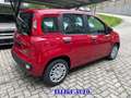 Fiat Panda PROMO FINANZ.PANDINA 1.0  Hybrid  KM  0 Rosso - thumbnail 7
