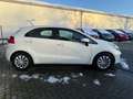 Kia Rio Spirit*GJREIFEN*SHZ*TEMPOMAT*PDC*FEISPRECH Blanc - thumbnail 4
