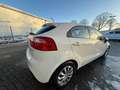Kia Rio Spirit*GJREIFEN*SHZ*TEMPOMAT*PDC*FEISPRECH Blanc - thumbnail 8