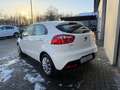 Kia Rio Spirit*GJREIFEN*SHZ*TEMPOMAT*PDC*FEISPRECH Blanc - thumbnail 5
