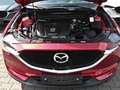 Mazda CX-5 Kangei 2WD 2.5 SKYACTIV-G 194 Autom.*360°Kamera* Rot - thumbnail 10