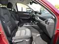 Mazda CX-5 Kangei 2WD 2.5 SKYACTIV-G 194 Autom.*360°Kamera* Rot - thumbnail 4