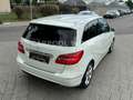 Mercedes-Benz B 180 Edition 1 Sportpaket XENON+NAVI+LEDER+PDC Weiß - thumbnail 12