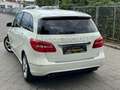 Mercedes-Benz B 180 Edition 1 Sportpaket XENON+NAVI+LEDER+PDC Weiß - thumbnail 8