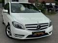Mercedes-Benz B 180 Edition 1 Sportpaket XENON+NAVI+LEDER+PDC Weiß - thumbnail 1