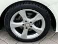 Mercedes-Benz B 180 Edition 1 Sportpaket XENON+NAVI+LEDER+PDC Weiß - thumbnail 24