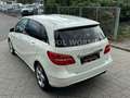 Mercedes-Benz B 180 Edition 1 Sportpaket XENON+NAVI+LEDER+PDC Weiß - thumbnail 7