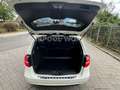 Mercedes-Benz B 180 Edition 1 Sportpaket XENON+NAVI+LEDER+PDC Weiß - thumbnail 10
