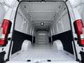 Fiat Ducato KASTENWAGEN MAXI 35 L4H2 180 MT Violet - thumbnail 9