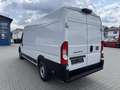Fiat Ducato KASTENWAGEN MAXI 35 L4H2 180 MT Violet - thumbnail 10