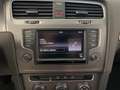 Volkswagen Golf Golf 1.6 TDI 90 CV 5p. Business Trendline BlueMot Gris - thumbnail 17