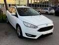 Ford Focus Focus Traveller Trend 1,8 TDci Weiß - thumbnail 2