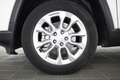 Jeep Compass 1.6 Multijet II 2WD Business Bianco - thumbnail 13