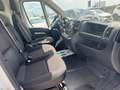 Fiat Ducato CITROEN Jumper (3ª 33 BlueHDi 120 S&S PM-TM Bianco - thumbnail 12