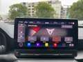 CUPRA Formentor 2.0 TSI DSG VZ Navi LED SHZ ACC PDC Blau - thumbnail 18
