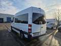 Mercedes-Benz Sprinter 313 (Stock ID 30415) Blanc - thumbnail 5