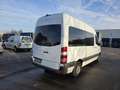 Mercedes-Benz Sprinter 313 (Stock ID 30415) Blanc - thumbnail 9