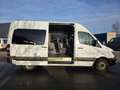 Mercedes-Benz Sprinter 313 (Stock ID 30415) Blanc - thumbnail 11