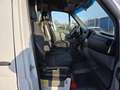 Mercedes-Benz Sprinter 313 (Stock ID 30415) Blanc - thumbnail 16