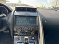Jaguar F-Type P300 R-Dynamic 19''LM Pano SportAbgas DAB Rückfkam Zwart - thumbnail 12