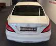 Mercedes-Benz CLS 350 BlueTec / d 4Matic AMG-LINE *GSD*360*DESIGNO*AMBI* Weiß - thumbnail 5