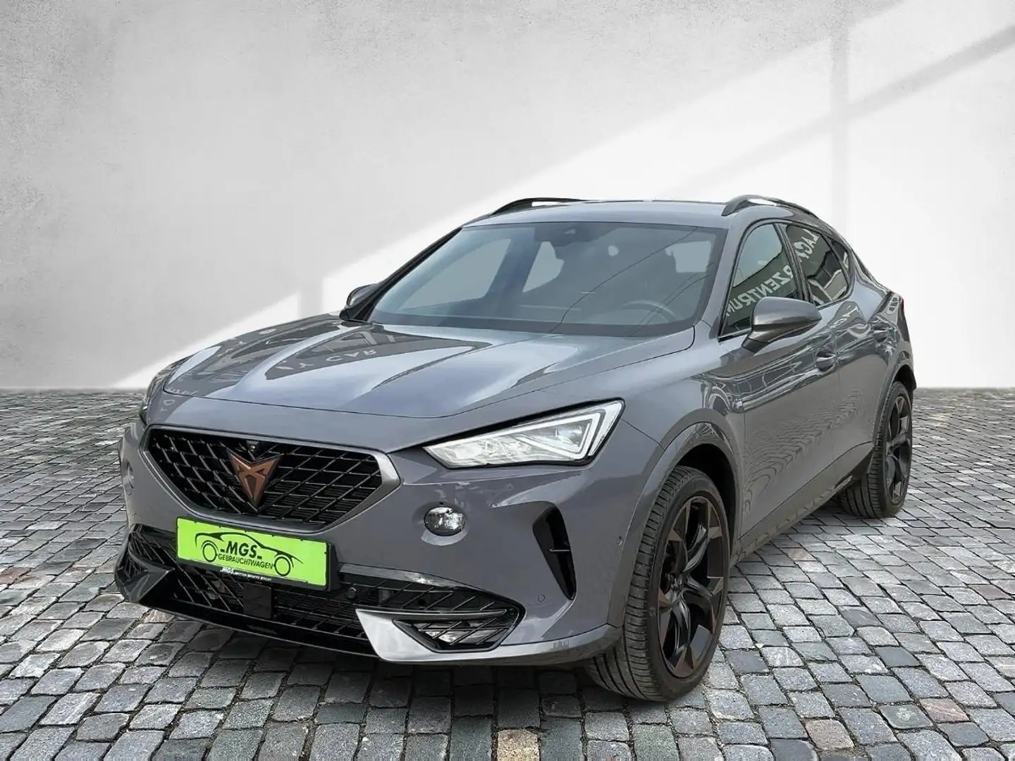 CUPRA Formentor VZ 4Drive 2.0 16V TSI DAB #BT #BEATS Grau - 2