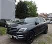 Mercedes-Benz ML 250 ML 250 CDI BlueTec (166.004)    KUNDEN AUFTRAG  Grau - thumbnail 2