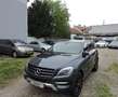 Mercedes-Benz ML 250 ML 250 CDI BlueTec (166.004)    KUNDEN AUFTRAG  Grau - thumbnail 13