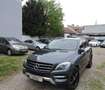 Mercedes-Benz ML 250 ML 250 CDI BlueTec (166.004)    KUNDEN AUFTRAG  Grau - thumbnail 5