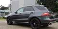 Mercedes-Benz ML 250 ML 250 CDI BlueTec (166.004)    KUNDEN AUFTRAG  Grau - thumbnail 3