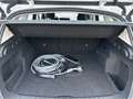 BMW iX1 xDrive30 DAB Parkassistent Shz Weiß - thumbnail 18