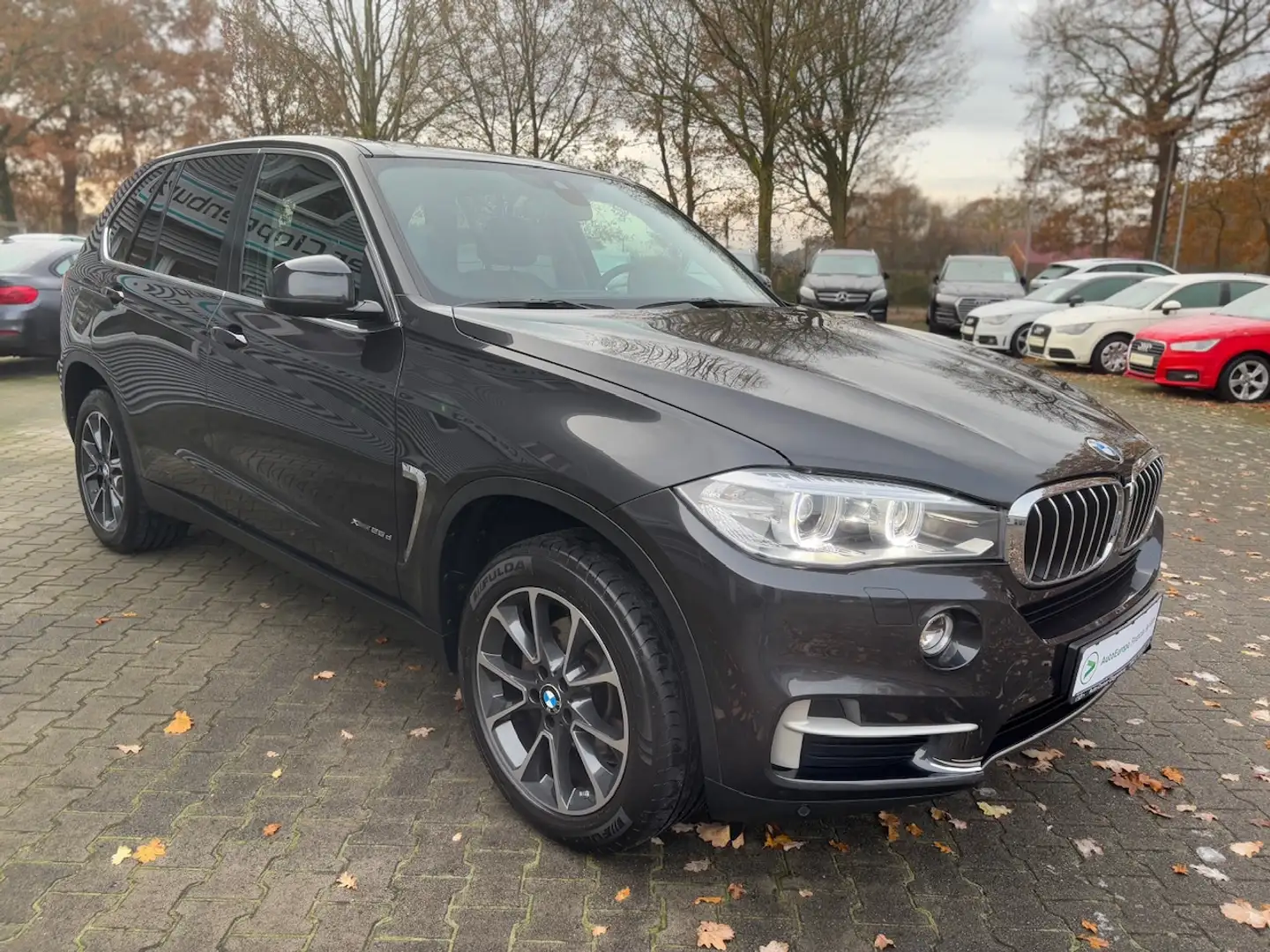 BMW X5 xDrive 25d Steptronic Grey - 2