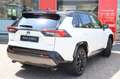 Toyota RAV 4 2.5 Hybrid Bi-Tone, Innovation pack, Suede , JBL A Blanc - thumbnail 16