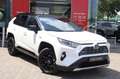 Toyota RAV 4 2.5 Hybrid Bi-Tone, Innovation pack, Suede , JBL A Blanc - thumbnail 15