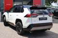 Toyota RAV 4 2.5 Hybrid Bi-Tone, Innovation pack, Suede , JBL A Blanc - thumbnail 17