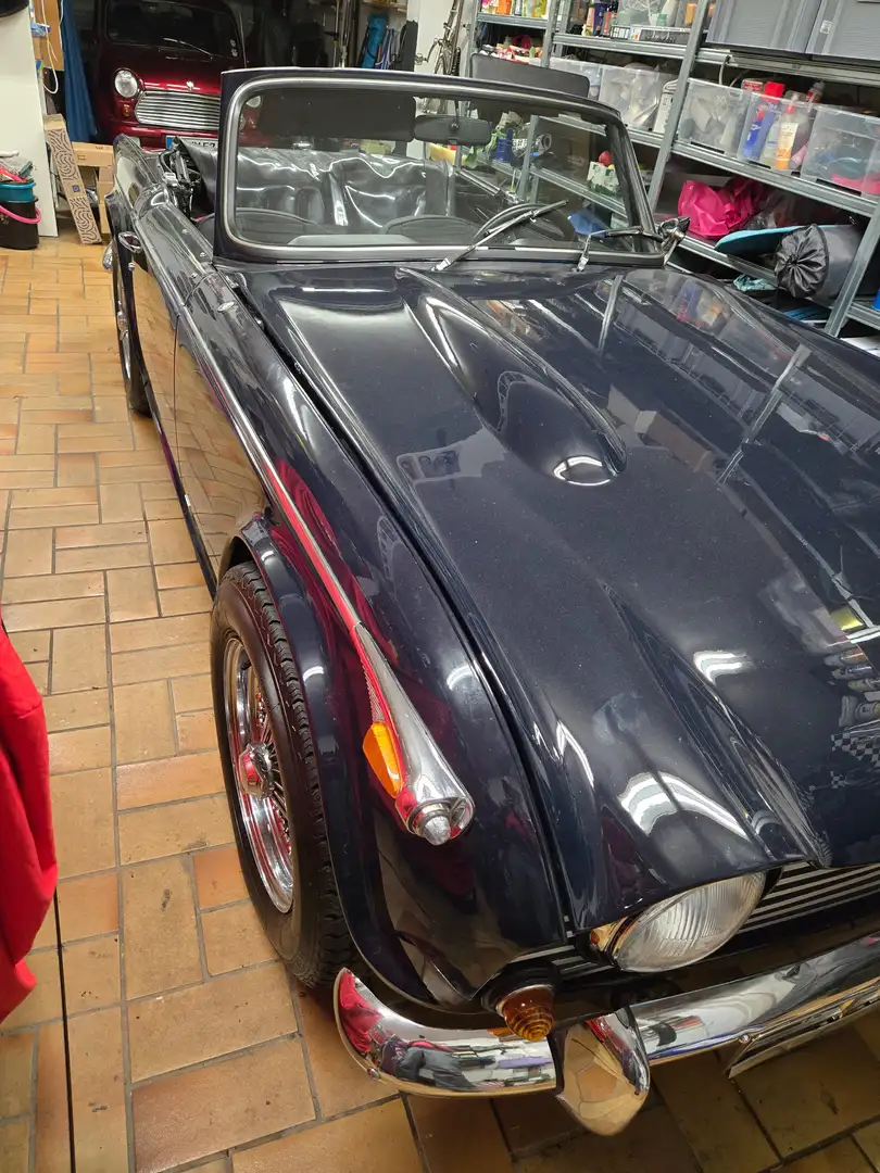 Triumph TR5 Cabrio Blau - 2
