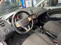 SEAT Ibiza 1.6 Reference 5 Deurs Clima Panoromadak Білий - thumbnail 9