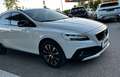 Volvo V40 Gross Country *LED*Navi*SHZ*Tempomat* Weiß - thumbnail 4