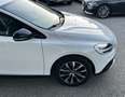 Volvo V40 Gross Country *LED*Navi*SHZ*Tempomat* Weiß - thumbnail 16