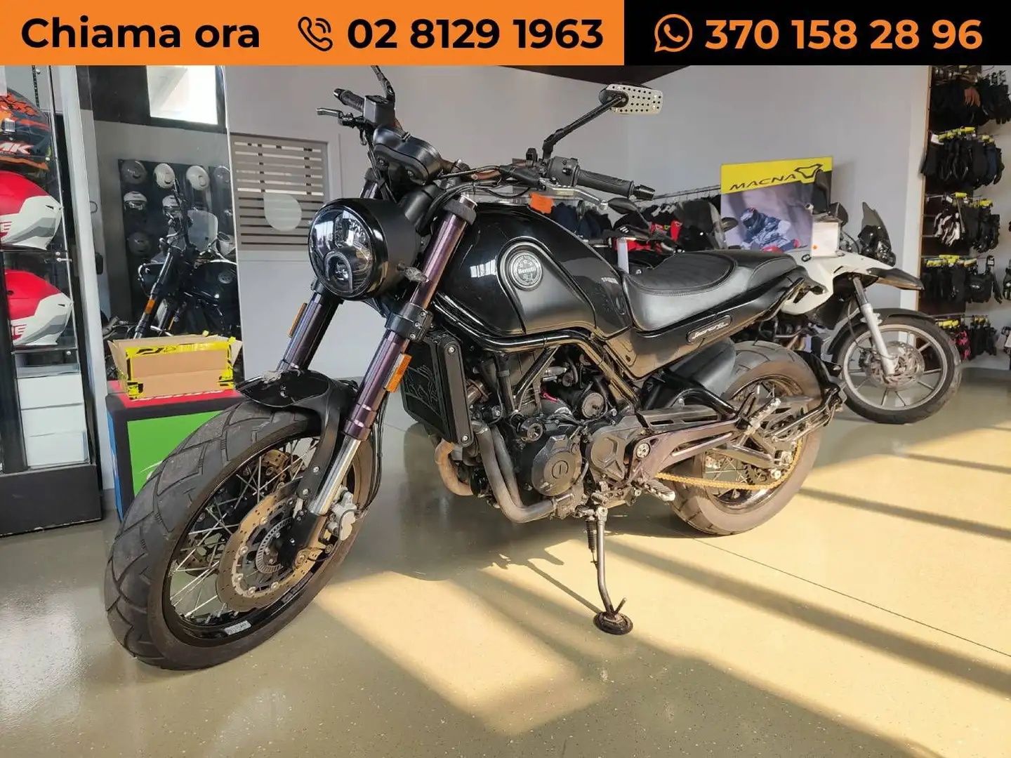 Benelli Leoncino - 1