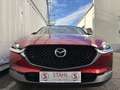 Mazda CX-30 e-Skyactive G140 Homura Aut. | AUTO STAHL WIEN ... Rot - thumbnail 4