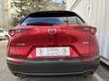 Mazda CX-30 e-Skyactive G140 Homura Aut. | AUTO STAHL WIEN ... Rot - thumbnail 6