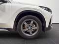BMW iX1 edrive 20 X-Line Blanc - thumbnail 22